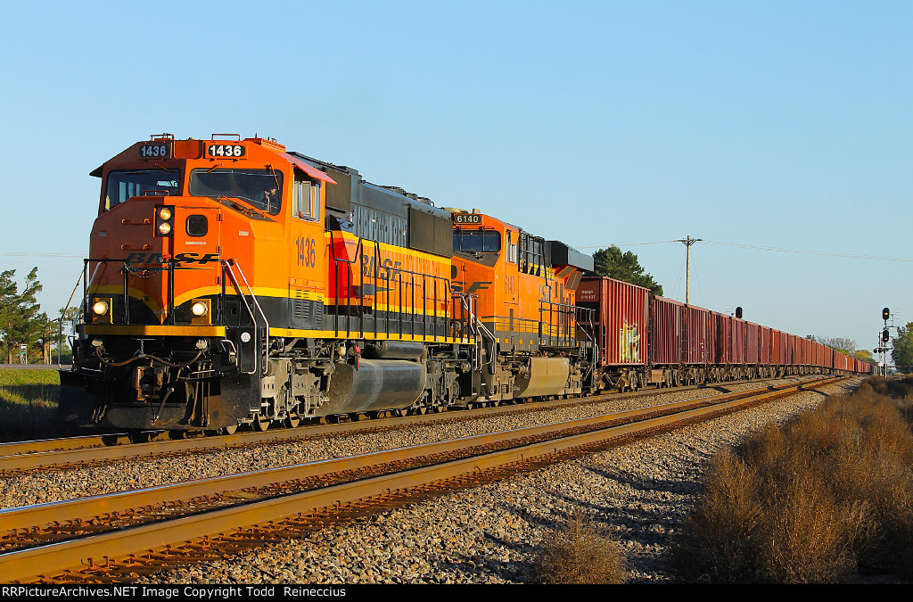 BNSF 1436